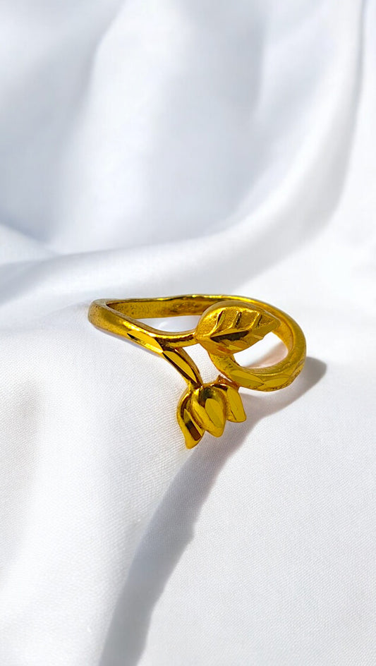 Elegant Curve